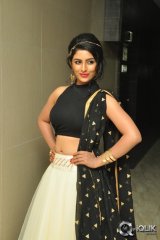 Kruthika Jayakumar At Rojulu Marayi Audio Launch